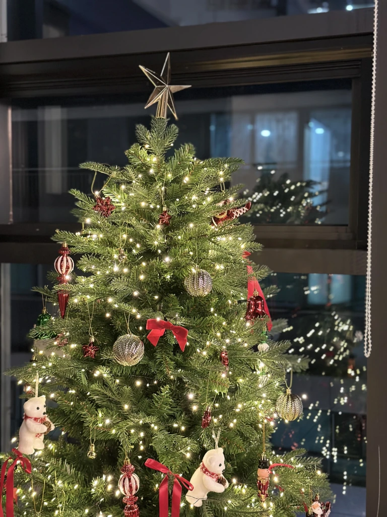 설치된 크리스마스 트리