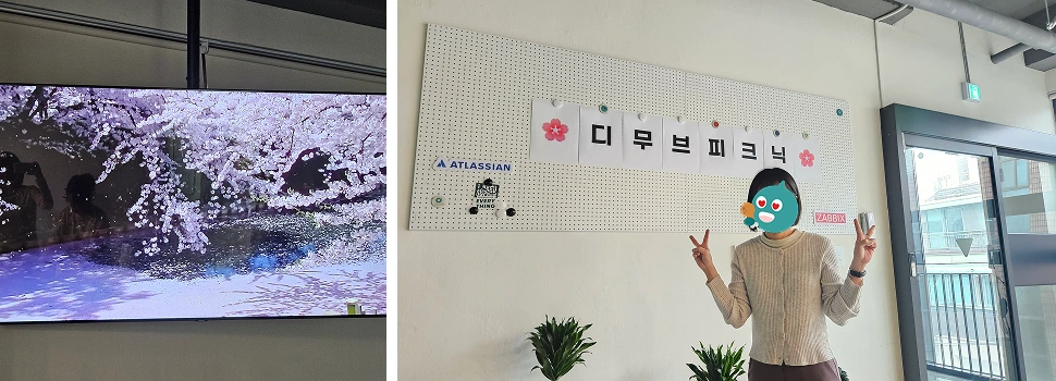 벚꽃 이미지와 디무브 피크닉