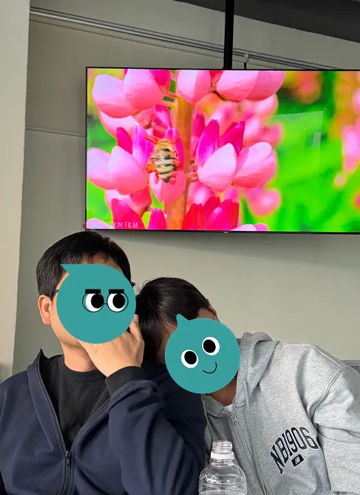 디무브 부장님들
